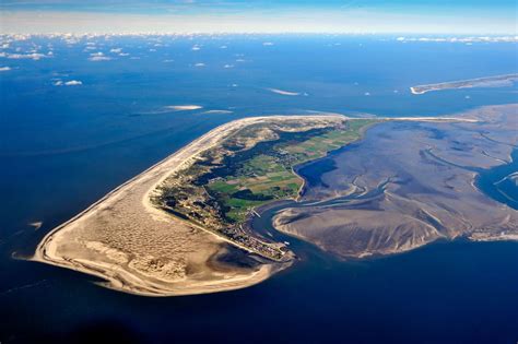 amrum wikipedia